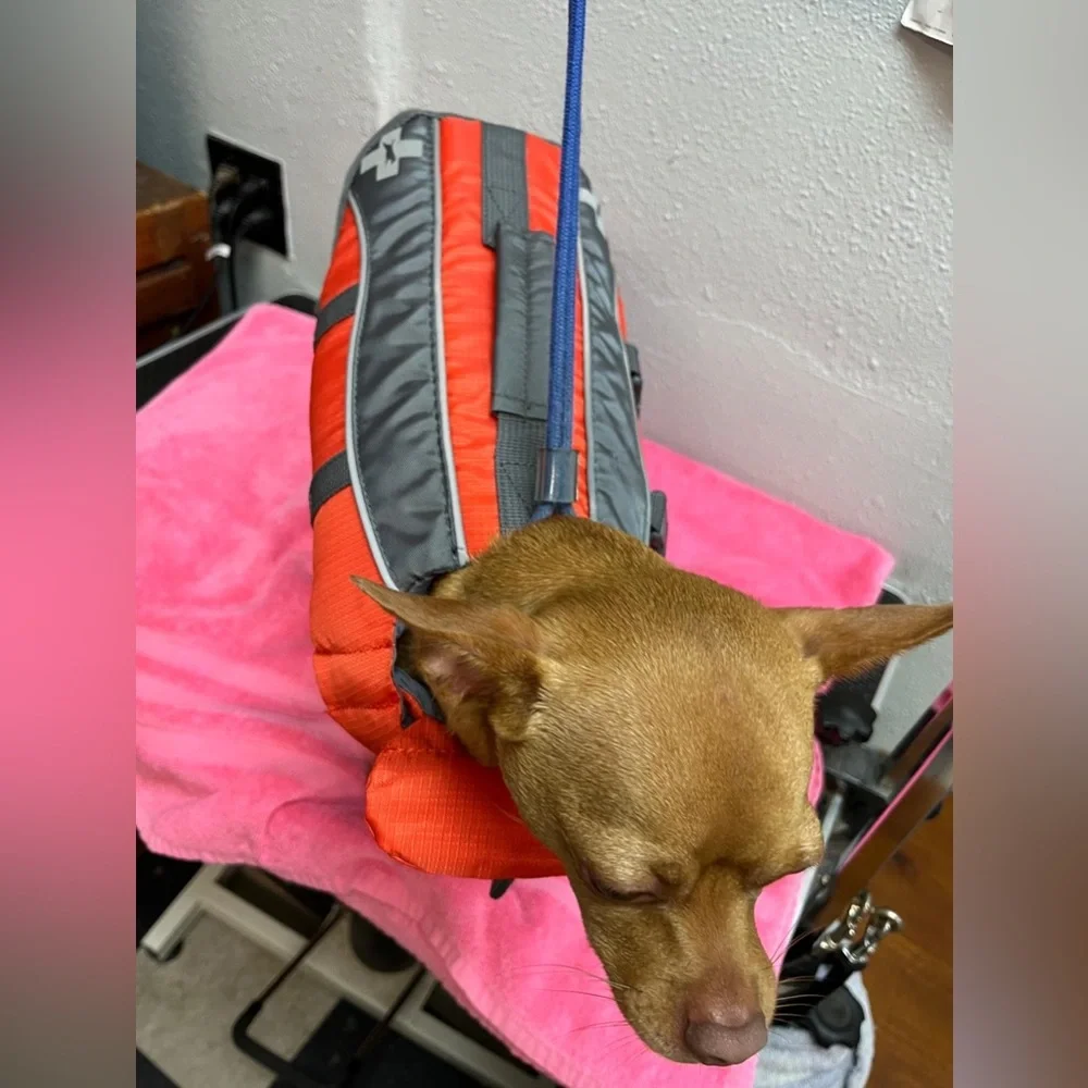 Outward Hound Red Dog Life Jacket